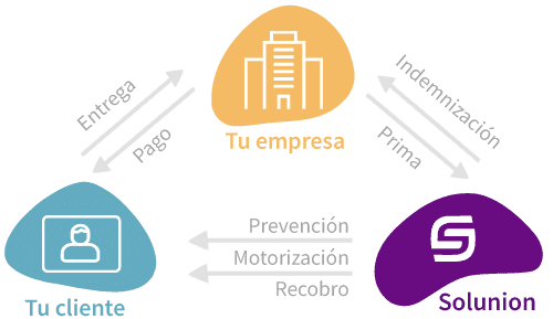 Esquema de como funciona el seguro de crédito