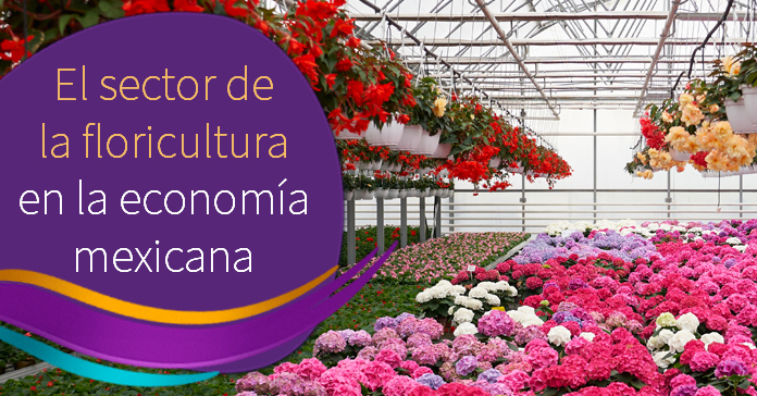 El sector de la floricultura en la economía mexicana