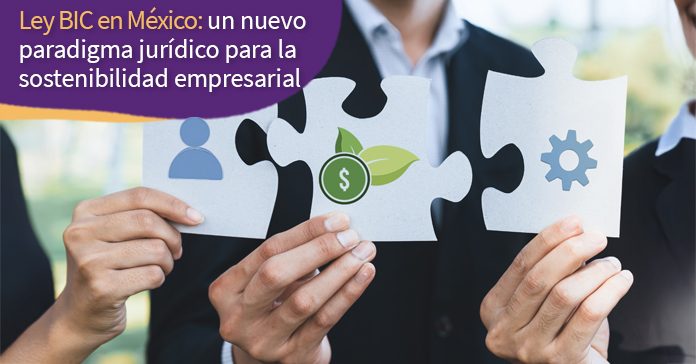 Ley-BIC