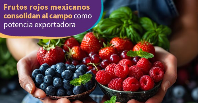 frutos-rojos-mexicanos